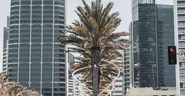 提升大数据水平（提升大数据水平的措施）