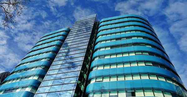 AI绘画萌宠排行榜前十名（AI绘画软件哪个好用）