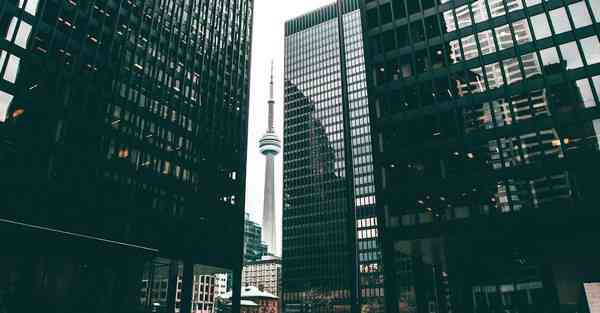 外国语单招大数据的行业文章