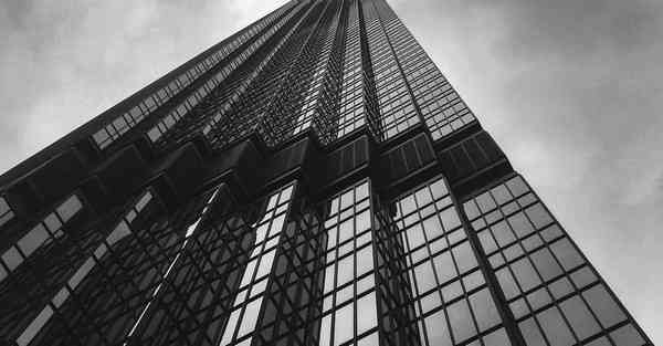 全自动智能宠物机器人 宠物机器人COZMO