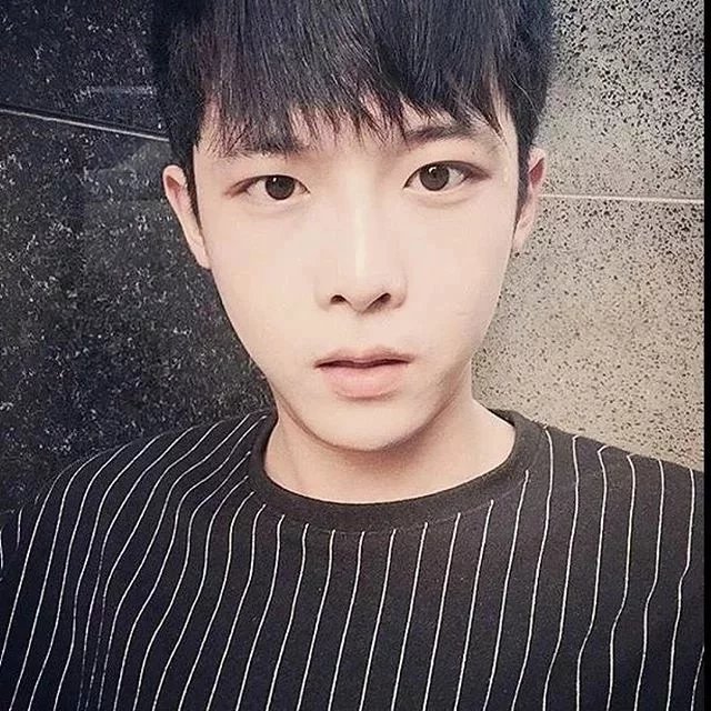 柏晨震琪