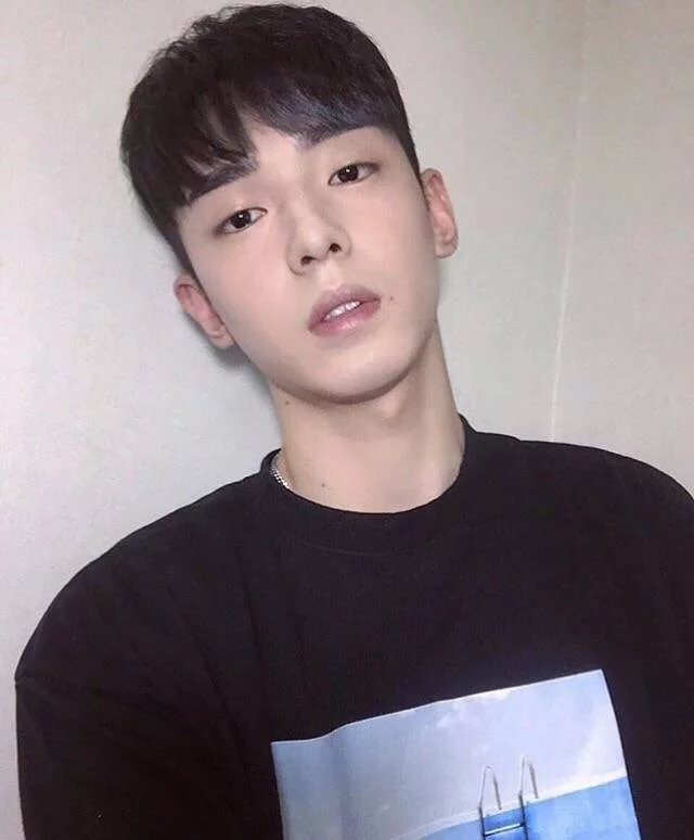 向蝶天育