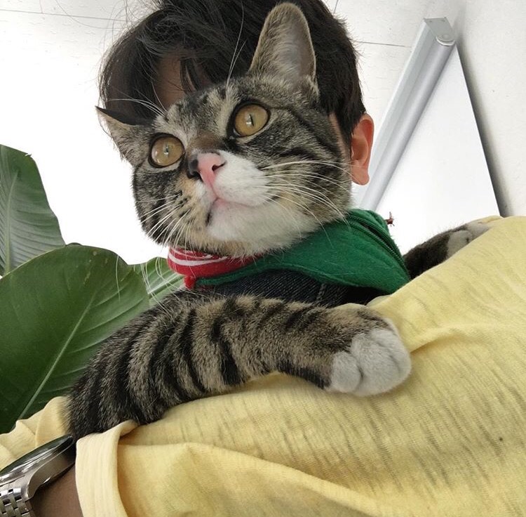 庄泽光枝