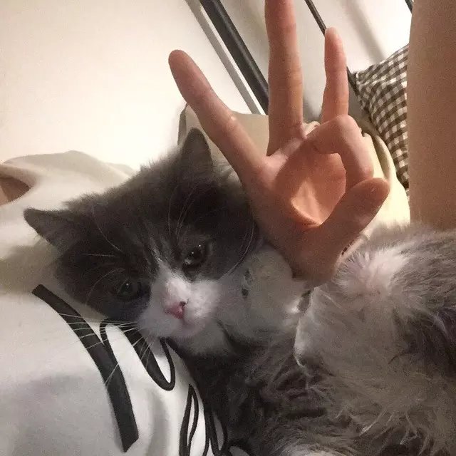 阎彬承玲