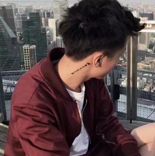 广树婵玉