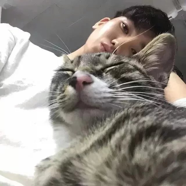 樊博梅有