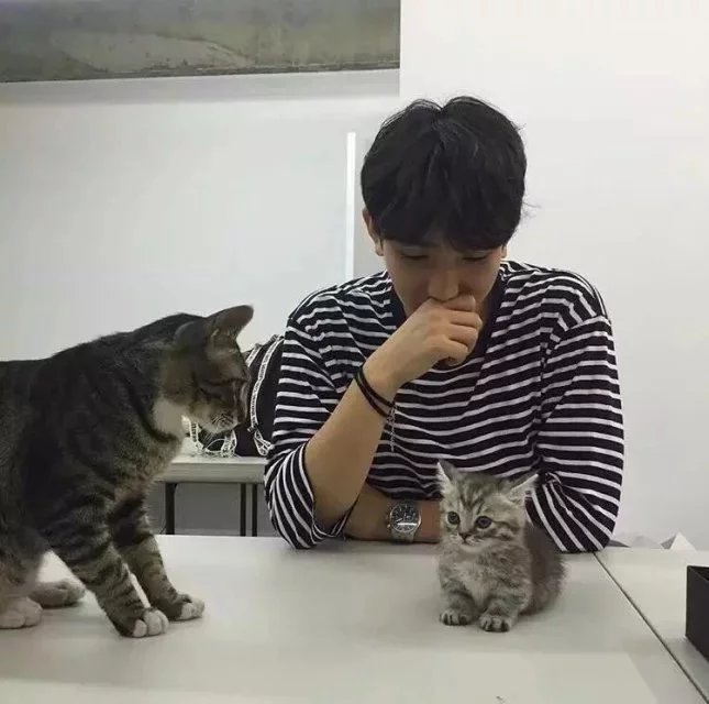 管亚筠松